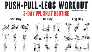 3 Day Push Pull Legs PPL Workout Routine [upl. by Etnomaj]