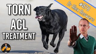 The Best Torn Dog ACL Treatment  Surgery or Home Management  Dog Care Vet Advice [upl. by Jovia]