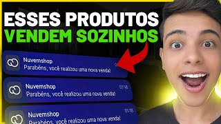 DROPSHIPPING TOP 10 PRODUTOS PARA VENDER MUITO EM 2023 Produtos que eu vendo  Dinheiro online [upl. by Nnyletak76]