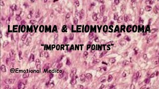 Leiomyoma and Leiomyosarcoma  Reproductive Pathology  emotionalmedico [upl. by Eleirbag506]