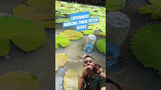 Mancing mania fishing fish malayalam experiment [upl. by Poock]