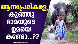 ആനപാപ്പാനെ കണ്ട് ഞെട്ടണ്ട ഇത് അവളുടെ സ്വന്തം ആനയാ  Kerala Elephant Umadevi amp Cute Baby Girl Bhaama [upl. by Siegel]