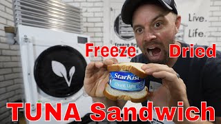 Freeze Dried Tuna Fish Sandwich 🐟 How to Rehydrate Bread 🍞 [upl. by Naujit]