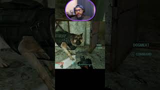 Dogmeat Encourages me to Jump 😂🐶 fallout fallout4 funnygameplay funnymoments [upl. by Atinaej]