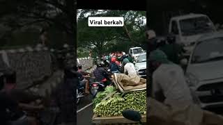 Sayur murah abang sayur membagi bagikan kesemua yang lewat shorts [upl. by Linnell]