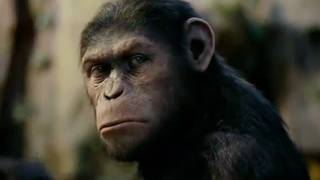 Planet of the Apes A Species Misunderstood [upl. by Nalid]