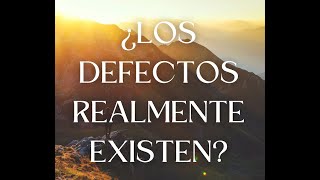 ¿LOS DEFECTOS REALMENTE EXISTEN [upl. by Aisile]