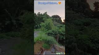 Somewhere in Antipolo Rizal 🇵🇭 shortvideo travelph scenicviews viralvideo [upl. by Yartnod]