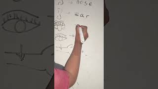 SENSE Organs By teaching By Devansh [upl. by Zednanref]