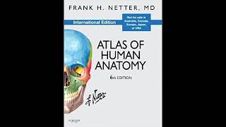 Netters atlas of human anatomy free download [upl. by Repsaj]