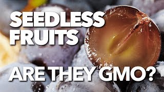 Are seedless fruits GMOs [upl. by Lalib]