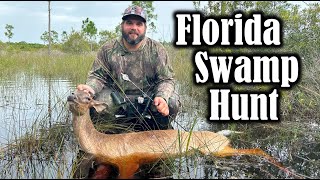 MY BEST FOOTAGE YET Swamp Donkeys in South Florida [upl. by Ativahs]