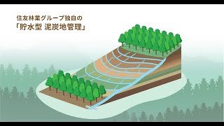 【住友林業グループ】インドネシア貯水型の泥炭地管理（日本語版） [upl. by Oswell]