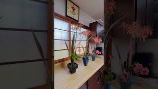 Ikenobo Ikebana Shoka Style Arrangement Class 050724 [upl. by Enahsal]