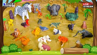 Herbivores Carnivores and Omnivores Animals for Kids Fun Learning Educational Video [upl. by Ayifa]