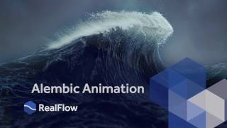 RealFlow 10 Alembic parameters [upl. by Issej]