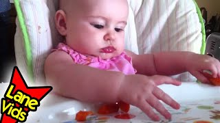 Baby Led Weaning  Day 3  Carrots  TheFunnyrats [upl. by Icyak]