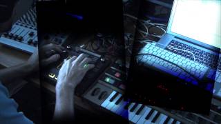 Kaossilator Pro II Microkorg und Ableton Live 9  Experiment [upl. by Atiuqet]