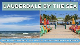 Top Things to Do in Lauderdale by the Sea Florida and Plunge Beach Resort Review and Tour [upl. by Akeryt]