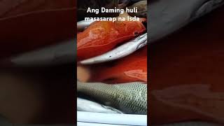 Masasarap na Isda Ang Nahuli fishing fishing fishingvideo fish fish viralvideo [upl. by Barbarese]