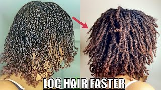 DO THIS TO MAKE HAIR LOC FASTER [upl. by Chee]