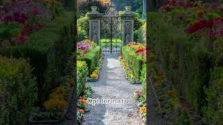 Garden ideas for Your Yard  Garden path in the country  Small garden Gardening Landscaping Ideas [upl. by Anyg94]