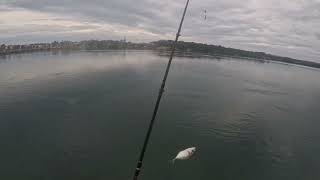 Stormy Weather Fishing at Merimbula Lake [upl. by Ahsart]