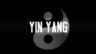 USS  Yin Yang OFFICIAL LYRIC VIDEO [upl. by Voorhis]