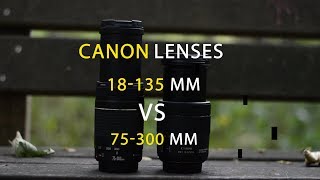 Canon Lens 18 135 VS 75300 mm compare  Canon 80D [upl. by Schulze801]