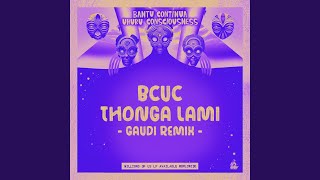 Thonga Lami Gaudi Remix [upl. by Asiela165]