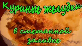 ОоЧень Вкусные Куриные Желудки в Сметанной ЗаливкеРецепты Вторых Блюд [upl. by Eyllib]