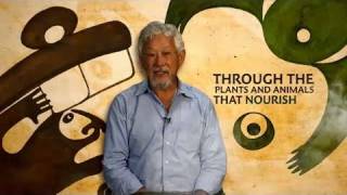 The Declaration of Interdependence A Pledge to Planet Earth by David Suzuki and Tara Cullis [upl. by Millwater]