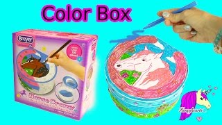 Breyer Horse Crazy Color amp Decorate Treasure Box Craft Video with Markers  Honeyhearts [upl. by Ahsemit335]