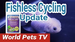 How to Fishless Water Cycle Switching over to DR Tim’s Nitrifying Bacteria [upl. by Huda334]