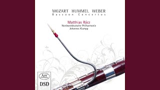 Bassoon Concerto in F Major Op 75 J 127 I Allegro ma non troppo [upl. by Beaufert]