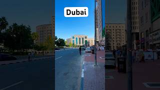 Habibi come to dubai 🤩 youtubevideos ytshorts dubai shorts travel [upl. by Warchaw]