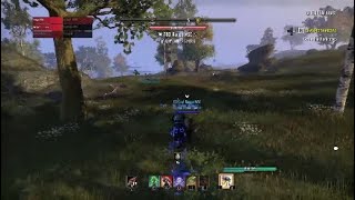 Stam Sorc PVP WH Spin to Win Online [upl. by Anitsej391]