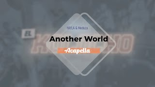 HAYLA amp Meduza  Another World Acapella [upl. by Delacourt284]