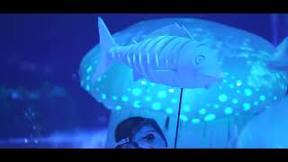 LE CARNAVAL DES ANIMAUX  AFTERMOVIE VERSION COURTE [upl. by Mcguire410]