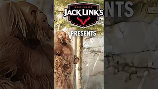 Sasquatch VS Balloon  Jack Links Funny Videos  Funny Commercials [upl. by Ardnekan]