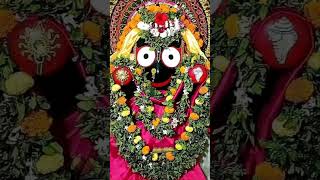 Jay Jagannath 🙏🙏 [upl. by Donelle]