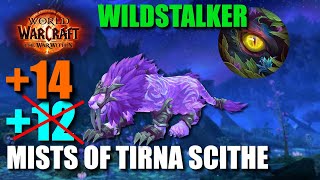 14 Mists Of Tirna Scithe Feral Druid POV  The War Within [upl. by Assiluj]