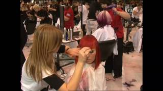 Nova TV IN Magazin OMC World Championship 2010 Paris by Croatian alliance of hairdressers  SHF [upl. by Soigroeg]