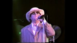 Van Morrison  Tupelo Honey  Ross on Wye 1997 [upl. by Yrram136]