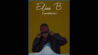 Elias B  Umwubatsi Video Music [upl. by Anesusa889]