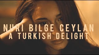 Nuri Bilge Ceylan a Turkish Delight [upl. by Adlemy]