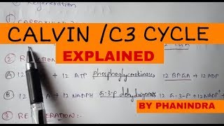 CALVIN CYCLE  C3 CYCLE  BY PHANINDRA GUPTA [upl. by Harim]