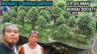 MICHAELS BONSAI GARDENUP DILIMAN BONSAI SOCIETY [upl. by Annoyi]