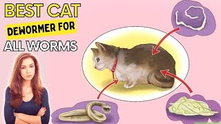 Best Cat Dewormer For All Worms  Eliminates All Parasites Within 1 Week [upl. by Enilecram827]