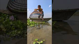 Unbelievable Boy Polo Fishing❤️shorts polo fishing fishingmethods fishingtipsandtechniques [upl. by Marybella]